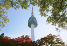 A&K launches DMC in South Korea