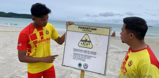 LADA statement following jellyfish fatality