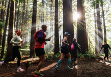 Active Escapes: Run, Bike, Hike in New Zealand