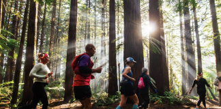 Active Escapes: Run, Bike, Hike in New Zealand