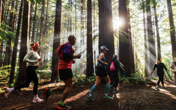 Active Escapes: Run, Bike, Hike in New Zealand