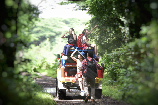 Airbnb bookings in Thailand surge in H1 2025