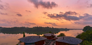 Mandai Rainforest Resort celebrates grand opening