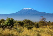 Lufthansa Group scales up summer flights