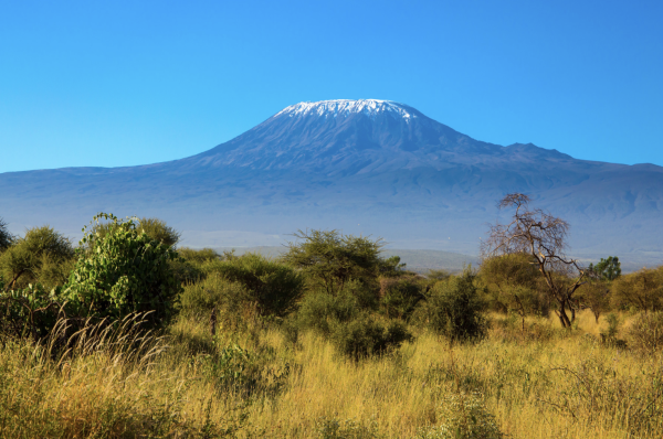 Lufthansa Group scales up summer flights