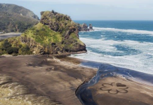 Michelin Guide lands in New Zealand