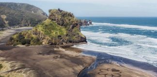 Michelin Guide lands in New Zealand