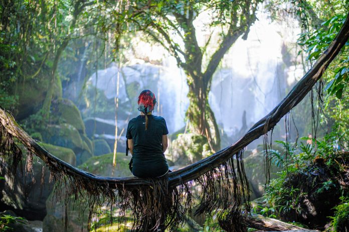 sarawak_sversionofjurassicpark