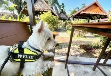 New Year: Travel trends shaping 2026