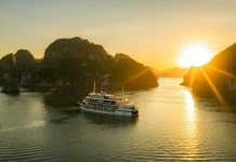 Bhaya Cruises extends wellness cruises
