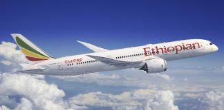 Ethiopian Airlines orders more Dreamliners
