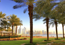 SAS launches new routes in Asia