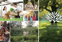 Dusit joins GSTC community