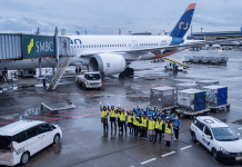 Air Japan calls it quits