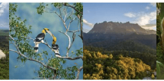 Club Med Borneo opens bookings