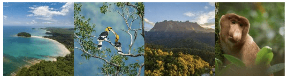 Club Med Borneo opens bookings