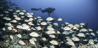 Centara unveils Beyond the Stay experiences