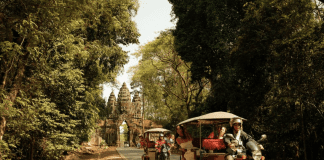 Contiki trades buses for Vespas and tuk-tuks