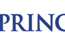 Princess Cruises confirms Voyager Class order