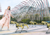 Robodog guides patrol Singapore attractions