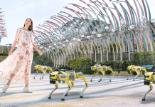 Robodog guides patrol Singapore attractions