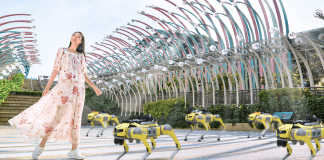 Robodog guides patrol Singapore attractions