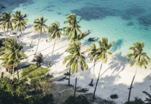 Club Med plants footprint on Samui