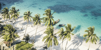 Club Med plants footprint on Samui