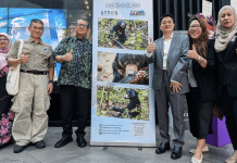 Sabah spotlights Sun Bear story
