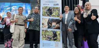 Sabah spotlights Sun Bear story