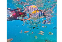 TransNusa flies double daily to Lombok