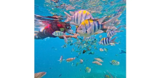 TransNusa flies double daily to Lombok