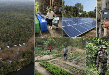 Tented camp keeps the forest safe
