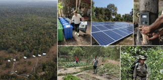 Tented camp keeps the forest safe
