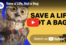 Save a life not a bag