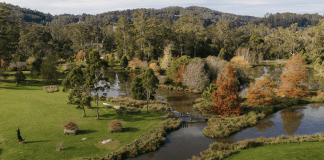 Tourism Australia reports 9.6% tourism growth