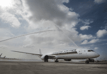 NZ and SQ expand joint network