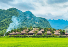 Vietnamese summer holiday plans