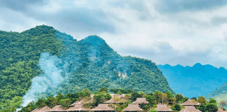 Vietnamese summer holiday plans