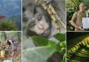 Khiri Travel’s impact report maps progress