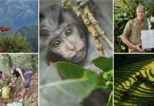 Khiri Travel’s impact report maps progress