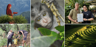 Khiri Travel’s impact report maps progress
