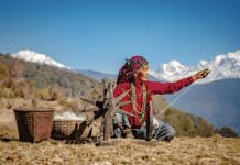 Transforming vacations into experiences with Centara
