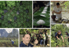 Anurak wins regenerative tourism award