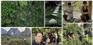 Anurak wins regenerative tourism award