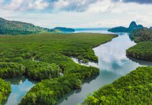 Langkawi connects with Earth Day theme
