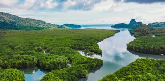 Langkawi connects with Earth Day theme