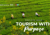 Cameras champion Pacific Asia: Content with Purpose