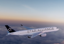 Star Alliance lounge takes shape in Seoul