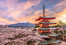 Silver Gen enjoys Japan’s Silver Week